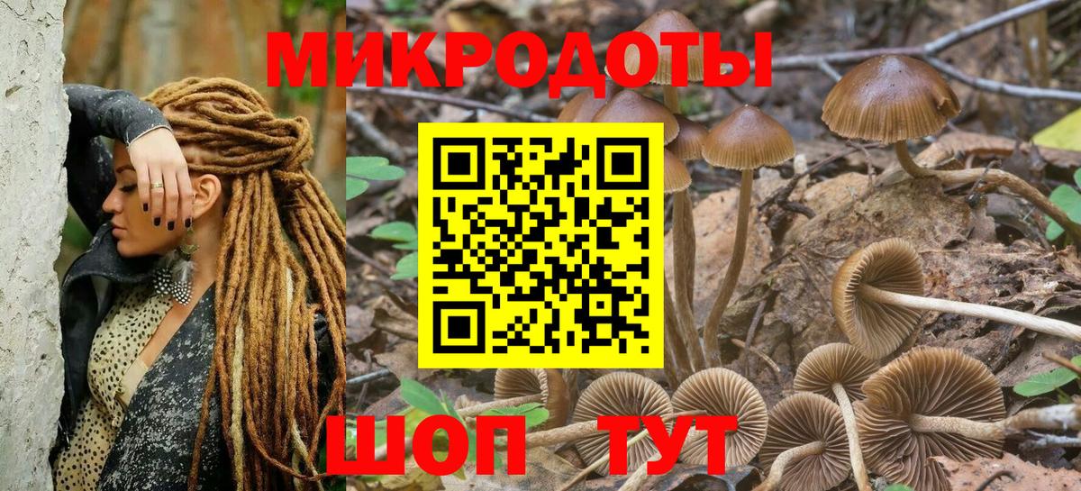 Галлюциногенные грибы Magic Shrooms  Галлюциногенные грибы Psilocybe  Вход с VPN  Валуйки 